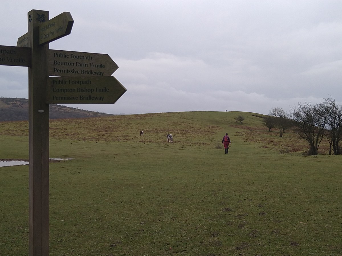 Why does the route go where it&nbsp;does?